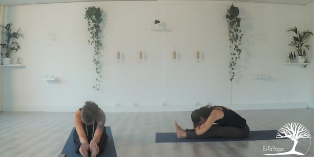 Yin Yoga In Tijden Van Onrust 30 Minuten Yoga In Goes I Estayoga 